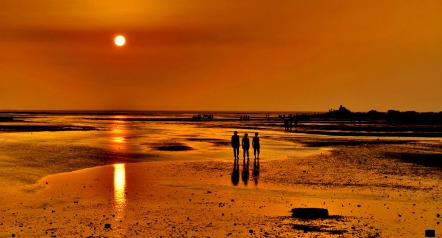 Balachadi Beach Picture