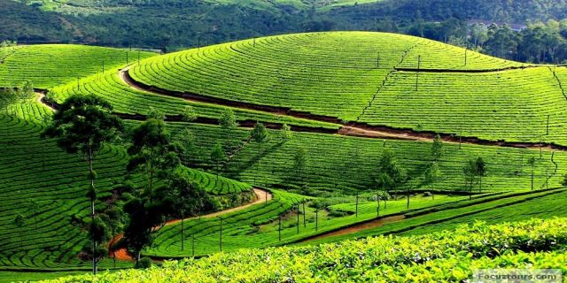 Ooty, Tamil Nadu Picture