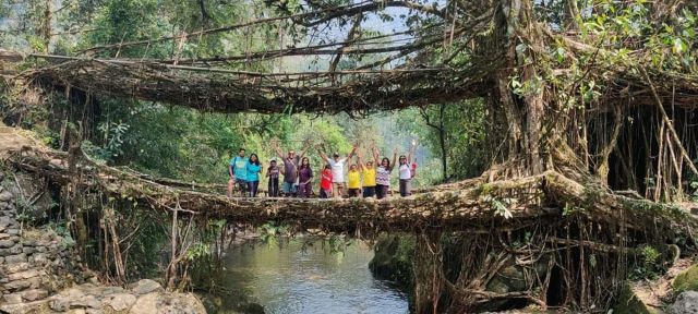 Living Root Bridge Picture