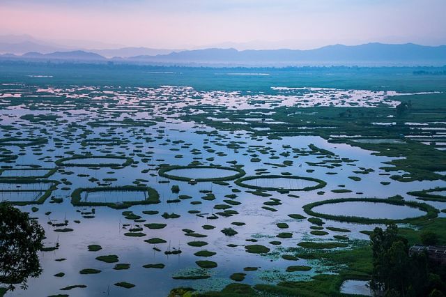 The Floating Lake of Loktak Picture
