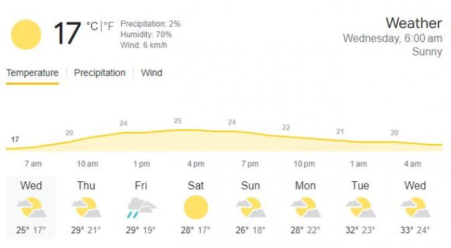 new york weather Picture