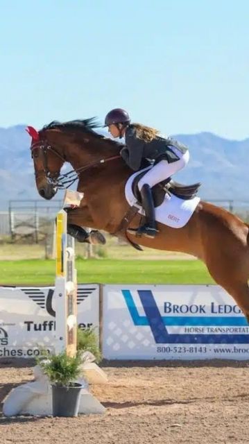 Horse long and high jump Picture