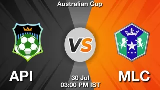 API vs MLC Matcch Previews