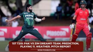 1st T20I: PAK vs ZIM Dream11