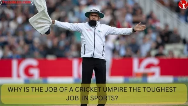 5 Reasons Why Cricket Umpires Have the