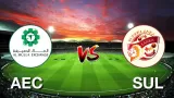 AEC vs SUL Dream11 Team, Who will win today Kuwait T20 Summer League match?