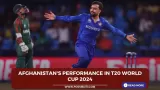 Afghanistans performance in T20