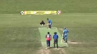 ARI vs MAL Dream11 Prediction, Team,