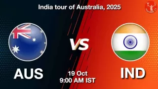 AUS vs IND 1st ODI: Pitch