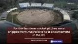 Australian Cricket Pitches Will
