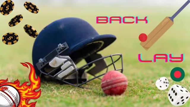 Shocking Truth Revealed: What is Back and