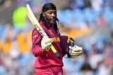 Chris Gayle is back,