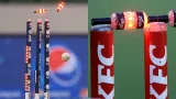 Cricket Stumps Height and