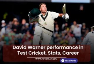 David Warner performance in Test Cricket,