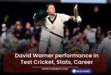 David Warner performance in