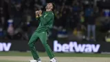 Dolphins vs Warriors (DOL vs WAR) Dream11, Vision11 Team, Match Prediction