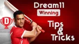 Dream11 Winning teams, Tips