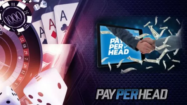 Everything You Need To Know About Pay