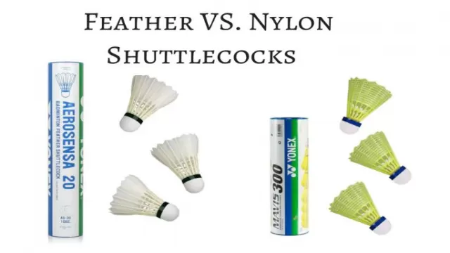 Feather Shuttlecock vs Nylon Shuttlecock