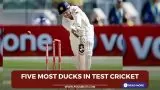 Five Most Ducks in