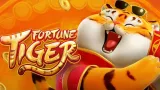 Fortune Tiger & BC