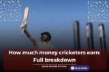 How much money cricketers