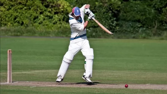 Important Cricket Betting Tips for Beginners