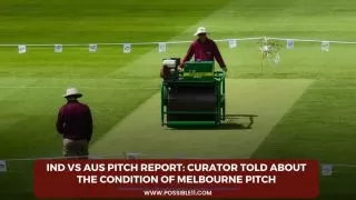 IND vs AUS Pitch Report: Curator