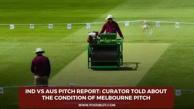 IND vs AUS Pitch Report: Curator told
