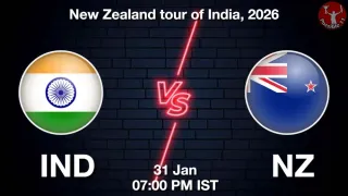 IND vs NZ 5th T20I, Pitch