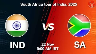 IND vs SA 2nd Test, Pitch
