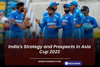 Indias Strategy, Weakness, and Prospects in