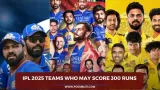 IPL 2025 Teams Who