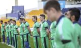 Ireland T20 World Cup