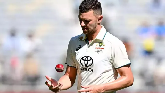 josh hazlewood pink ball
