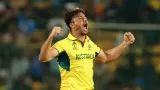 Marcus Stoinis retires from