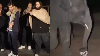 Messi Plays Football With Baby Elephant