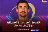 Mitchell Starc reacted on