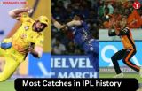 Most Catches in IPL