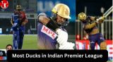Most Ducks in Indian
