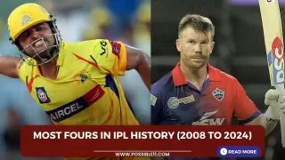 Most fours in IPL history (2008