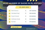 Most Number Of Ducks