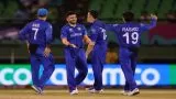Most Wickets In T20
