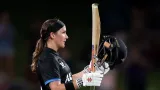 NZ-W vs ZIM-W AI