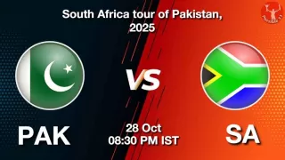 PAK vs SA 1st T20I: Pitch