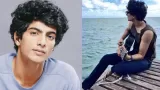 Palash Muchhal: Biography, Career