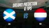 SCO vs NED, Dream11