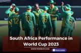 South Africa Performance in