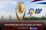 Spin Bowling Role in