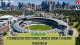 T20 World Cup 2022